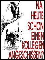 Kollegen Anschiss