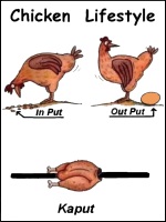 Chicken Lifestyle