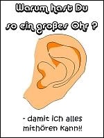 Ohr
