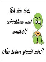 Schuechtern